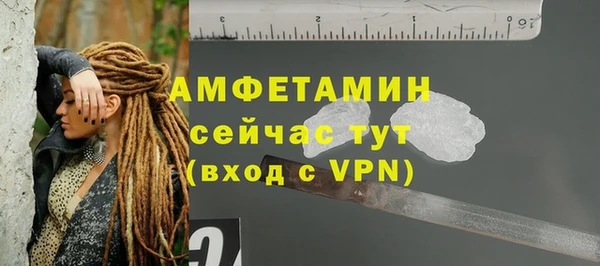 хмурый Магас