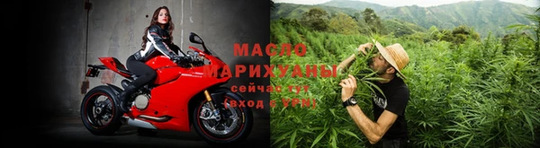 хмурый Магас