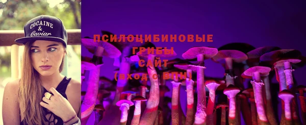 хмурый Магас