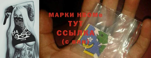 хмурый Магас