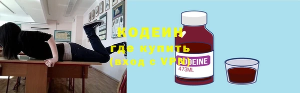 хмурый Магас