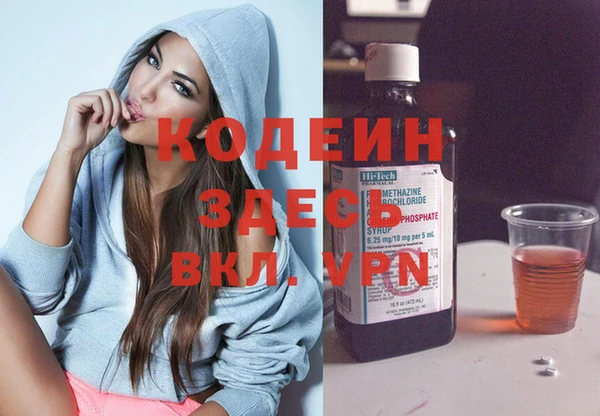 хмурый Магас