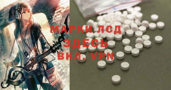 хмурый Магас