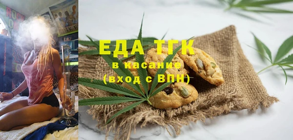 хмурый Магас