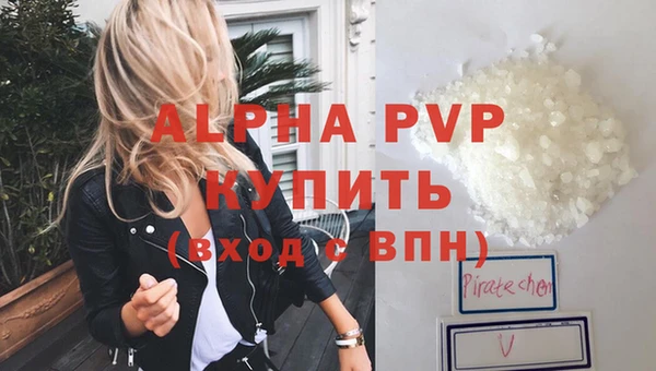 хмурый Магас