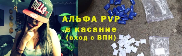 хмурый Магас
